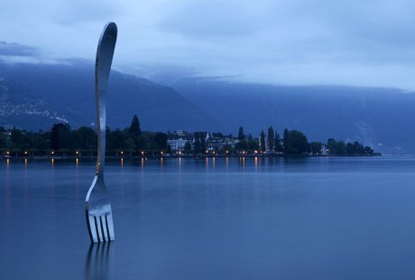 fork-in-a-lake_676506n